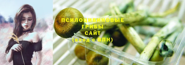 не бодяженный Алзамай