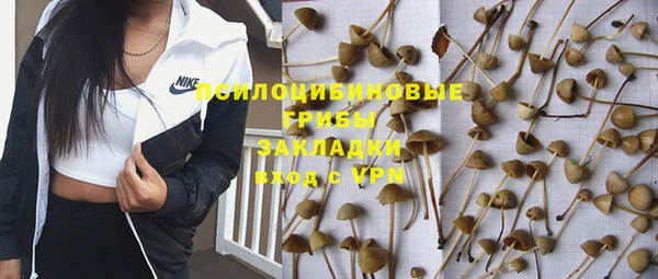 PSILOCYBIN Алексеевка