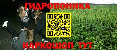 стаф Кандалакша
