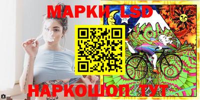 стаф Кандалакша