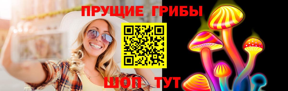 Псилоцибиновые грибы MAGIC MUSHROOMS  продажа наркотиков  Петрозаводск  Вход с VPN 
