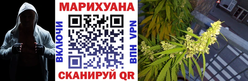 цены наркотик  Петрозаводск  Бошки марихуана сатива 